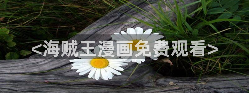 汗汗漫画在线观看免费漫画下拉式：<海贼王漫画免费观看>