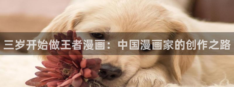 韩国汗汗漫画在线观看：三岁开始做王者漫画：中国漫画家的创作之路