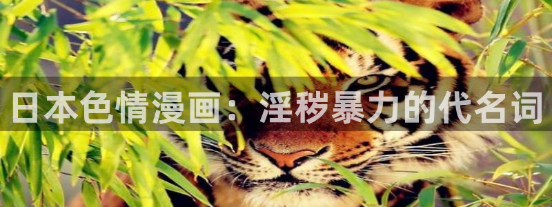 汗汗漫画网改名：日本色情漫画：淫秽暴力的代名词