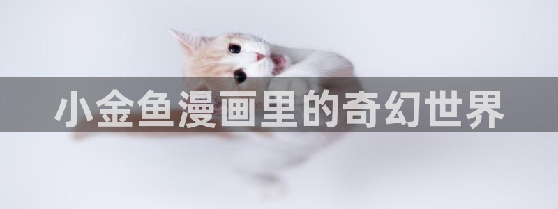 汗汗漫画羞羞漫画：小金鱼漫画里的奇幻世界