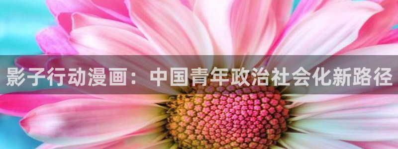 汗汗漫画免费在线下载：影子行动漫画：中国青年政治社会化新路径