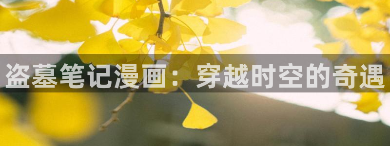 汗汗漫画最新：盗墓笔记漫画：穿越时空的奇遇
