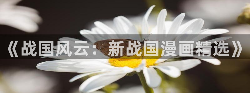 汗汗漫画sss入口