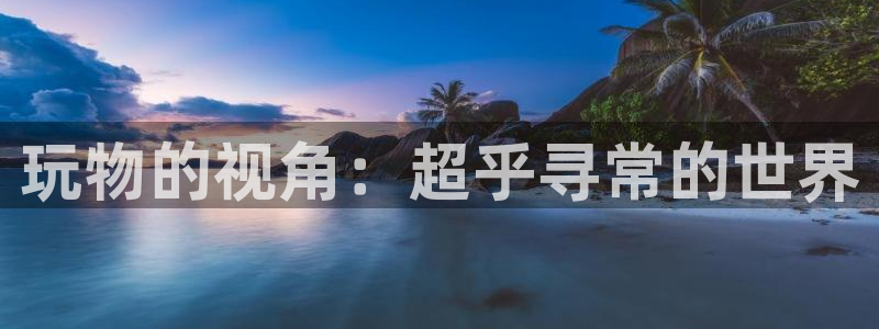 汗汗漫画――歪歪漫画51：玩物的视角：超乎寻常的世界