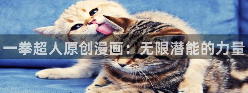 汗汗漫画免费阅读在线阅读下拉式：一拳超人原创漫画：无限潜能的力量