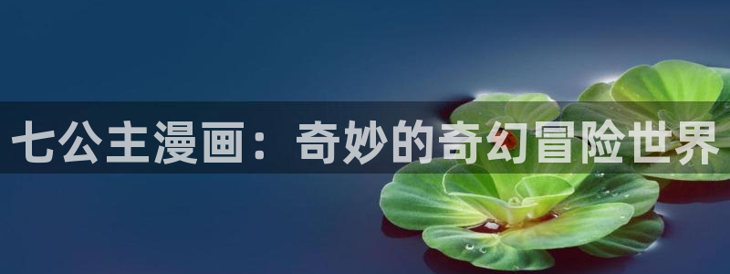 汗汗漫画sss在线观看：七公主漫画：奇妙的奇幻冒险世界