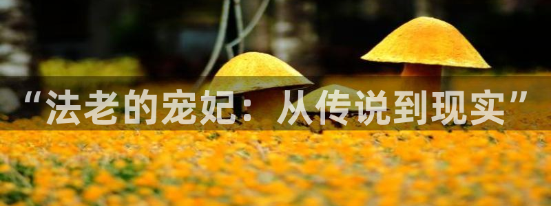 好看的汗汗漫画：“法老的宠妃：从传说到现实”